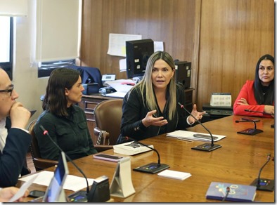 DIPUTADA MARLENE P&Eacute;REZ CARTES 2 (1)
