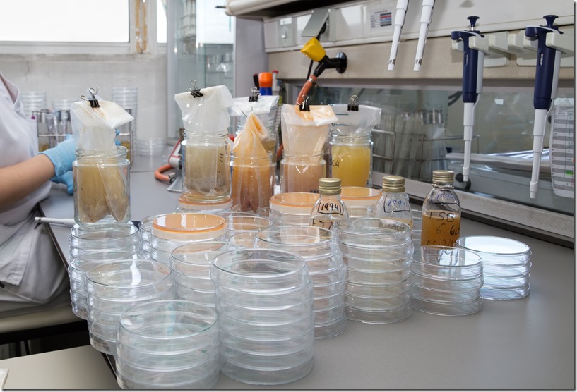 an&aacute;lisis de control de calidad de los alimentos en el laboratorio