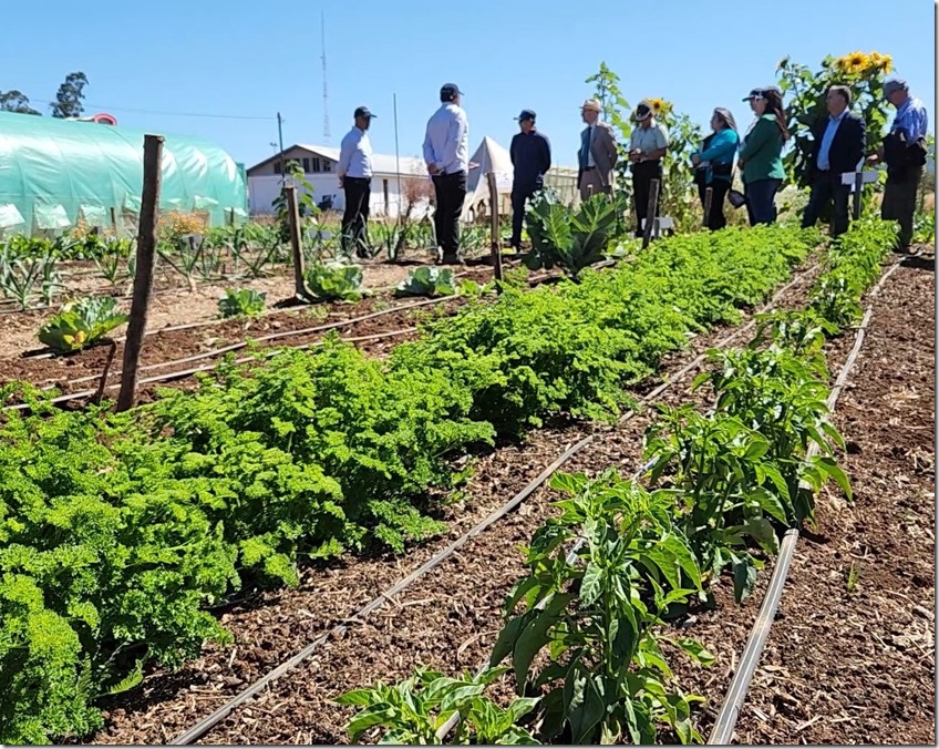 Agroecolog&iacute;a 113