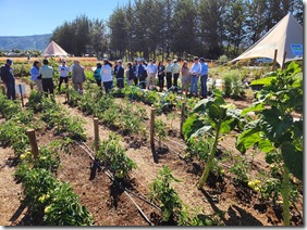 Agroecolog&iacute;a 2