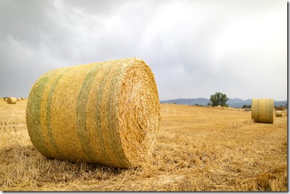 agro