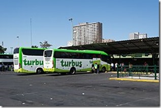 Turbus