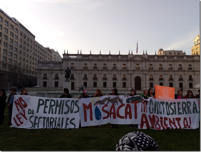 manifestaci&oacute;n stgo 3