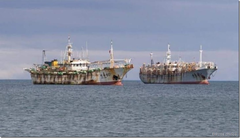 Barcos chinos
