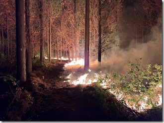 Corma alerta aumento incendios en Biob&iacute;o (1)