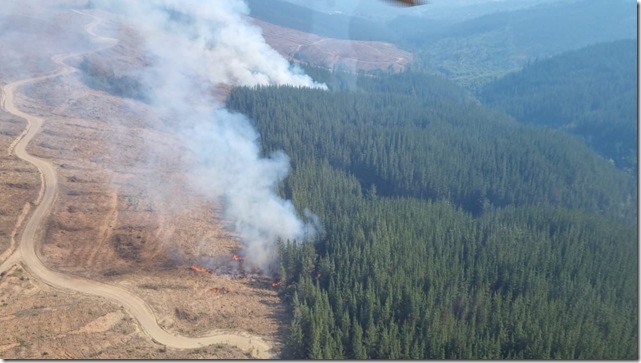 Corma alerta aumento incendios en Biob&iacute;o (3)