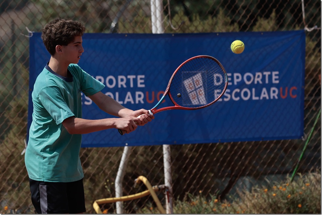 Tenis
