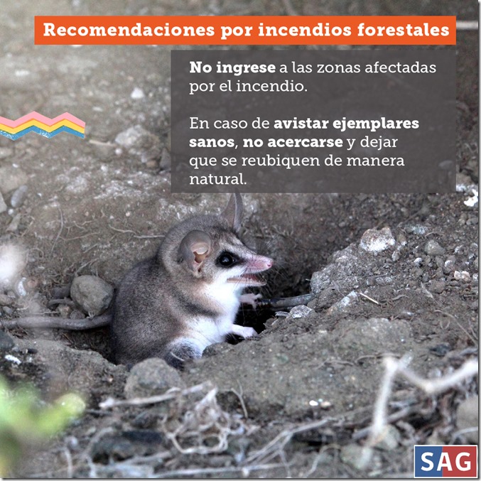 INCENDIOS_INSTAGRAM