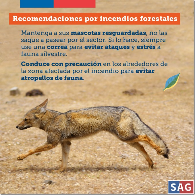 INCENDIOS_INSTAGRAM