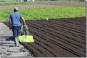 Campo (2)