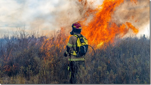 imagen referencial - incendio forestal referencial