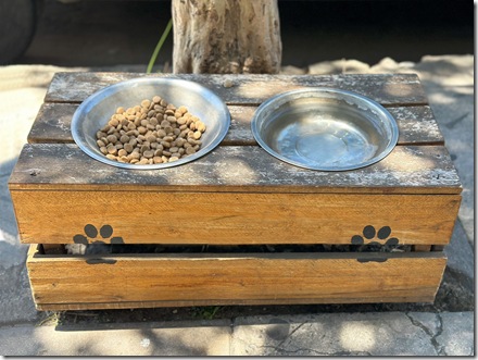 perritos comunitarios