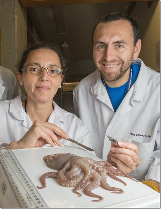 Cecilia Pardo y Christian Ib&aacute;&ntilde;ez de UNAB_2