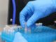 Laboratorio de análisis de aguas residuales para la detección de drogas en el Biobío