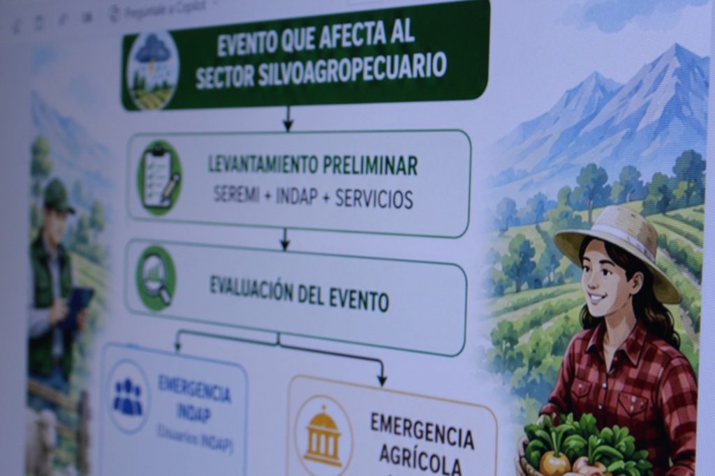 Autoridades del Gabinete del Agro evaluando daños en infraestructura agrícola tras sistema frontal en Biobío.