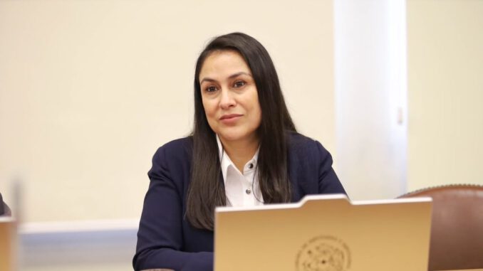 La diputada Francesca Muñoz en el Congreso solicitando mejorar la preparación ante desastres naturales en Chile
