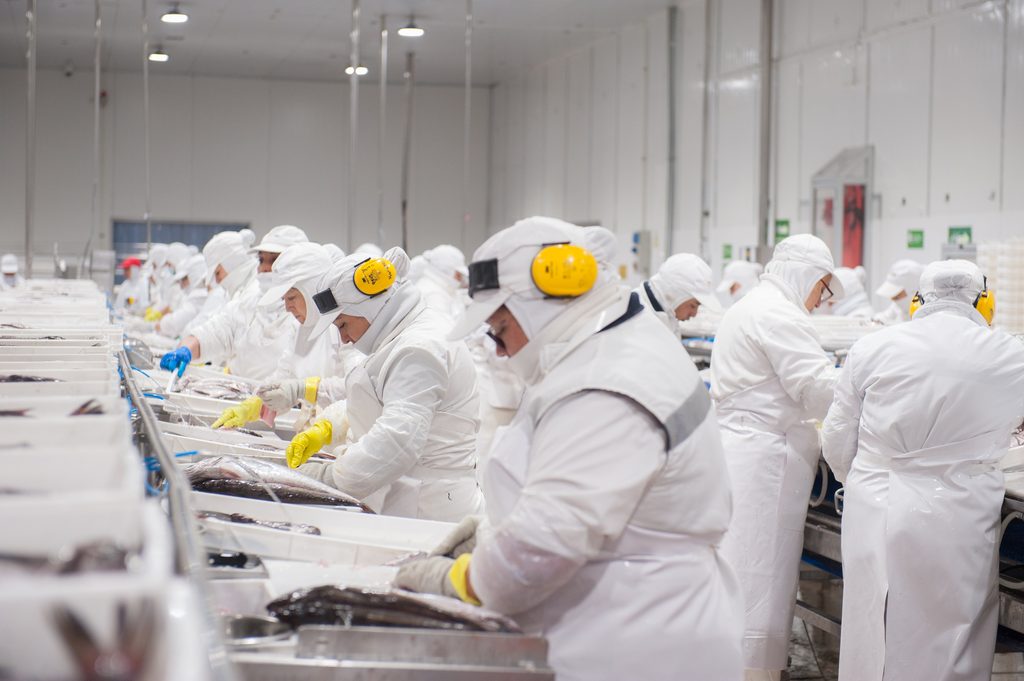 Acto de conmemoración de los 10 años de certificación en pesca sostenible de la industria del Biobío