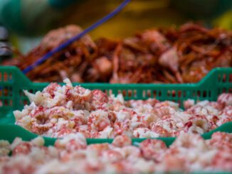 Acto de conmemoración de los 10 años de certificación en pesca sostenible de la industria del Biobío