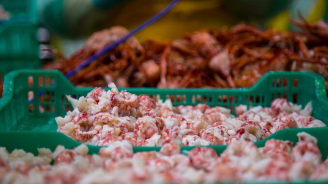 Acto de conmemoración de los 10 años de certificación en pesca sostenible de la industria del Biobío