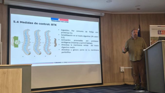 Funcionarios del SAG Biobío participando en la capacitación y simulacro contra la plaga forestal Lymantria dispar