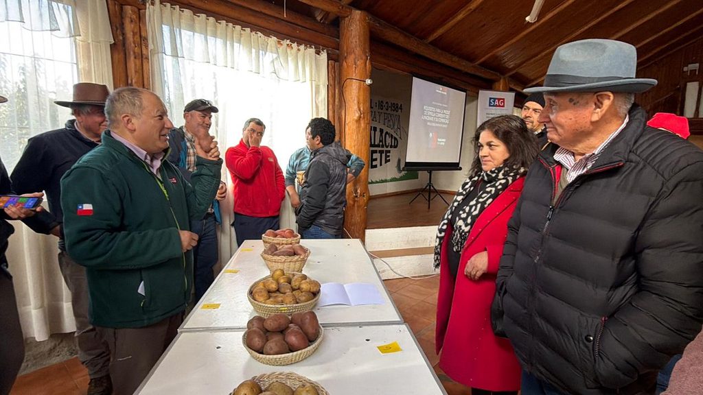 Productores agrícolas participando en charla informativa del SAG sobre nueva normativa de semilla de papa