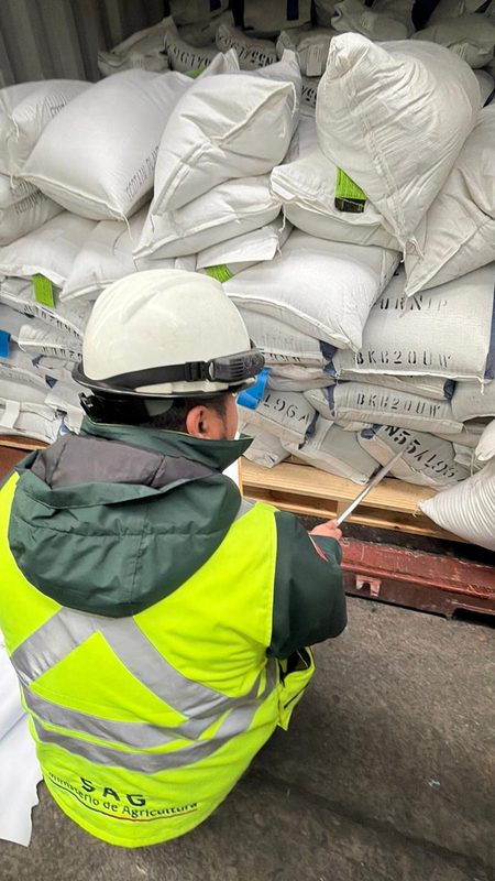 Personal del SAG realizando inspecciones fitosanitarias en el Terminal Internacional San Vicente en Talcahuano