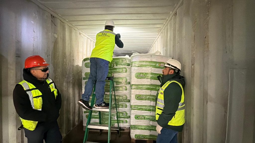 Personal del SAG realizando inspecciones fitosanitarias en el Terminal Internacional San Vicente en Talcahuano