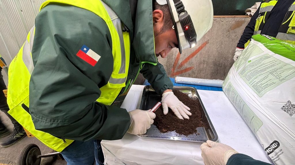 Personal del SAG realizando inspecciones fitosanitarias en el Terminal Internacional San Vicente en Talcahuano