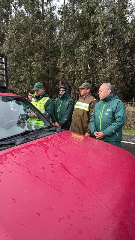 Fiscalización de Carabineros y SAG a camiones de ganado en carretera del Biobío