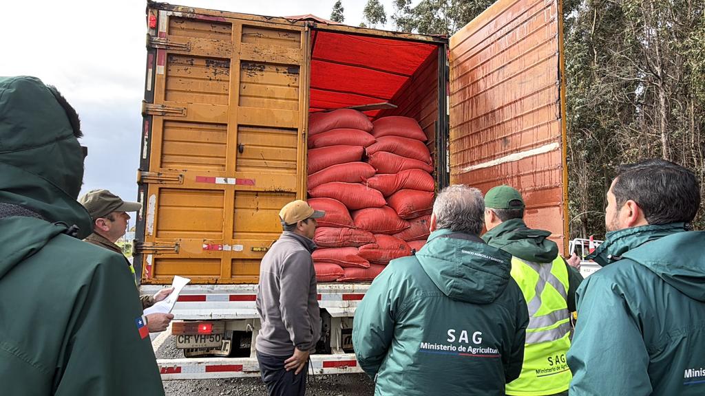 Fiscalización de Carabineros y SAG a camiones de ganado en carretera del Biobío