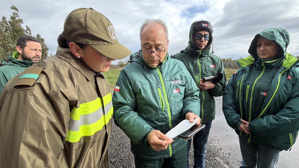 Fiscalización de Carabineros y SAG a camiones de ganado en carretera del Biobío