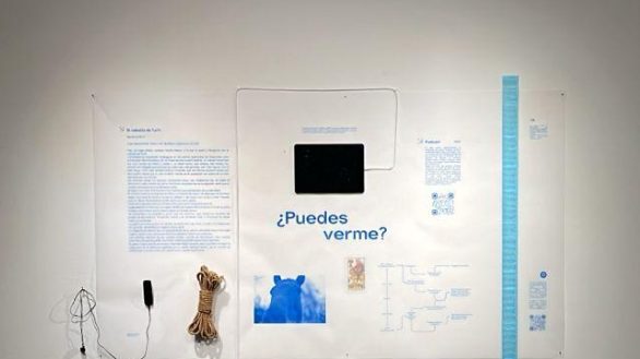 Participantes y jurado durante el lanzamiento de la convocatoria de arte joven Miradas del Sur 2026