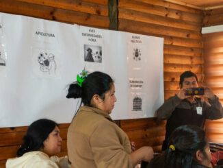 Emprendedoras indígenas de Santa Bárbara participando en el proyecto Sabores que Cultivan para mejorar sus ventas.