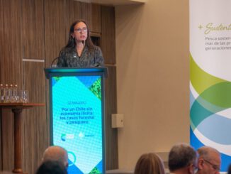 Embarcaciones pesqueras en el mar representando la lucha contra la pesca ilegal