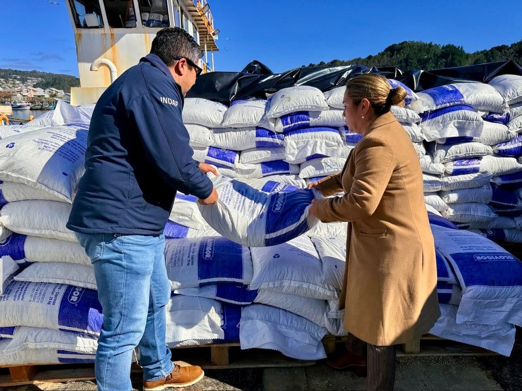 Autoridades locales supervisando el embarque de alimento concentrado hacia Isla Mocha en el muelle de Lebu