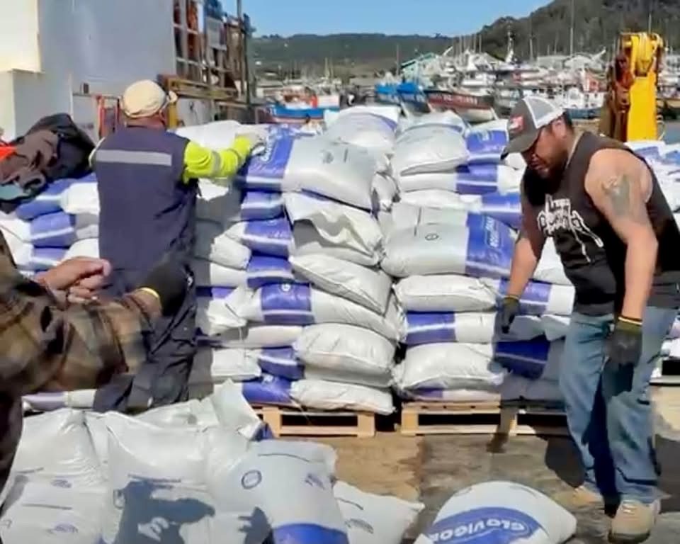 Autoridades locales supervisando el embarque de alimento concentrado hacia Isla Mocha en el muelle de Lebu