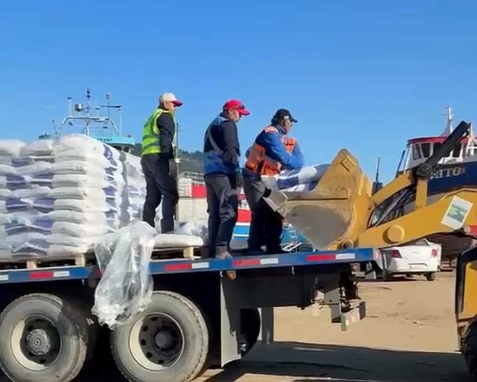 Autoridades locales supervisando el embarque de alimento concentrado hacia Isla Mocha en el muelle de Lebu