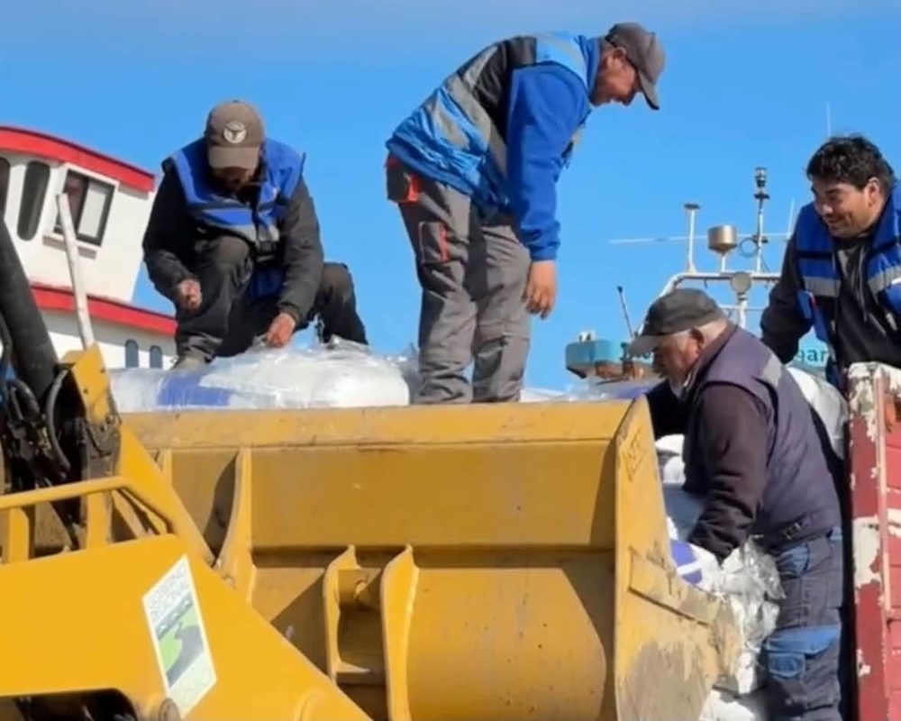 Autoridades locales supervisando el embarque de alimento concentrado hacia Isla Mocha en el muelle de Lebu