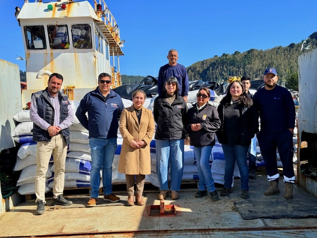 Autoridades locales supervisando el embarque de alimento concentrado hacia Isla Mocha en el muelle de Lebu