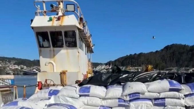 Autoridades locales supervisando el embarque de alimento concentrado hacia Isla Mocha en el muelle de Lebu