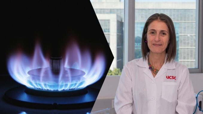 Laboratorio de la UCSC investigando la transformación de aceite usado en gases renovables