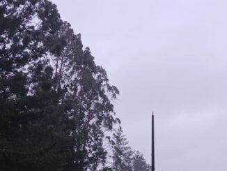 Personal técnico de Saesa monitoreando red eléctrica ante pronóstico de sistema frontal