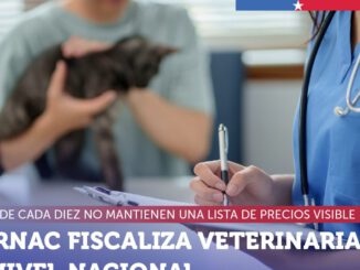 Fiscalizacion del Sernac a clinicas veterinarias y centros de atencion de mascotas en Chile