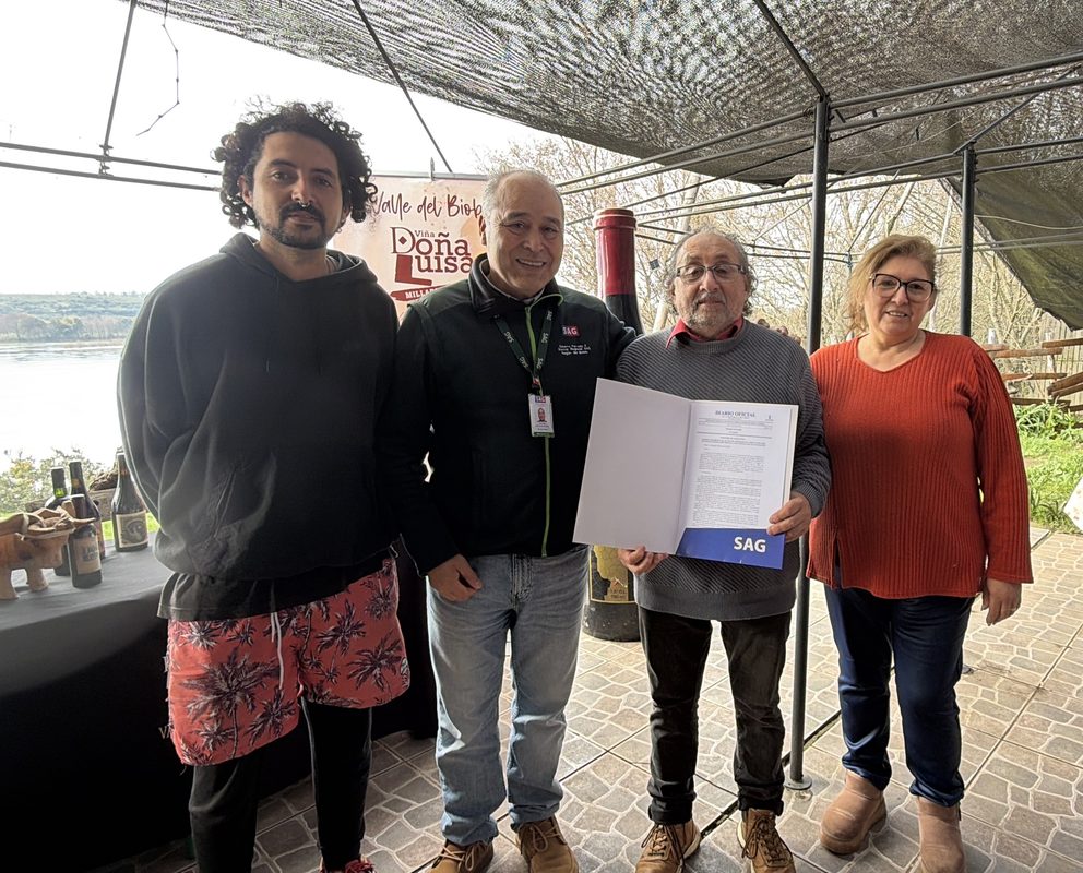 Viñedos en la región del Biobío que se benefician de la nueva denominación de origen
