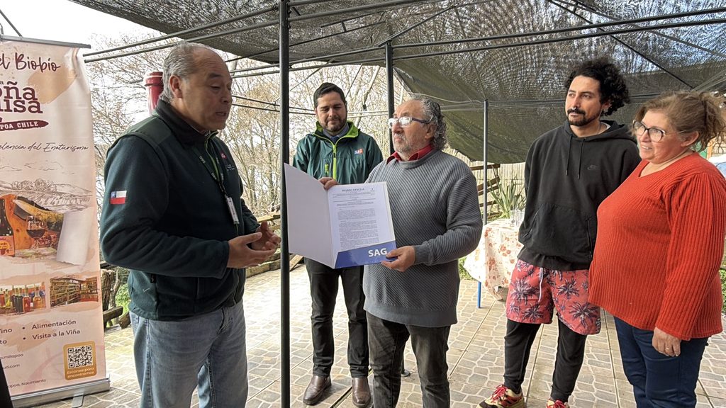 Viñedos en la región del Biobío que se benefician de la nueva denominación de origen