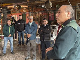 Viñedos en la región del Biobío que se benefician de la nueva denominación de origen