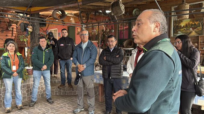 Viñedos en la región del Biobío que se benefician de la nueva denominación de origen