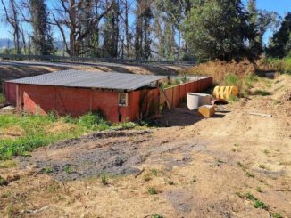 Fiscalizacion ambiental en planta de tratamiento de aguas servidas de Mitrinhue
