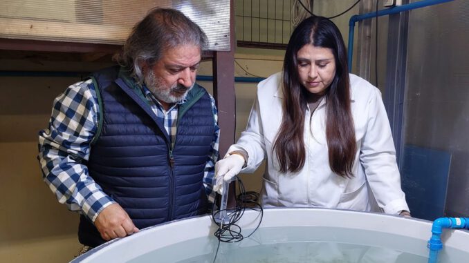 Tecnologia acuicola de Innaqua LAB para pisciculturas comerciales de salmon