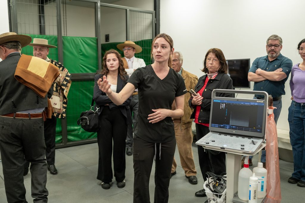 Nuevas instalaciones del Hospital Clínico Veterinario de la Universidad San Sebastián en Concepción